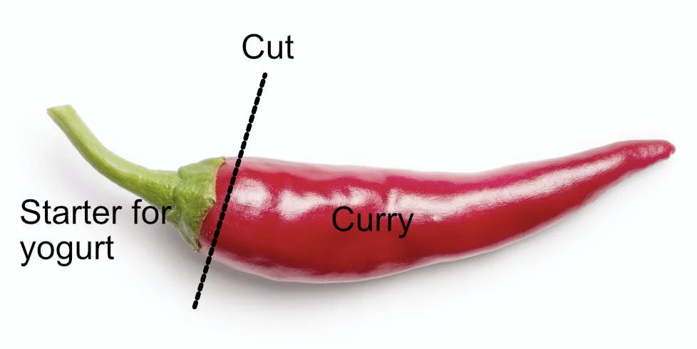 Chilli